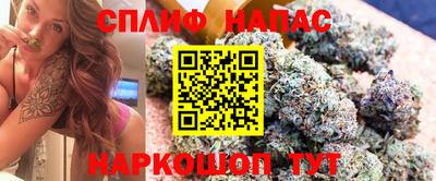 дмт Гагарин