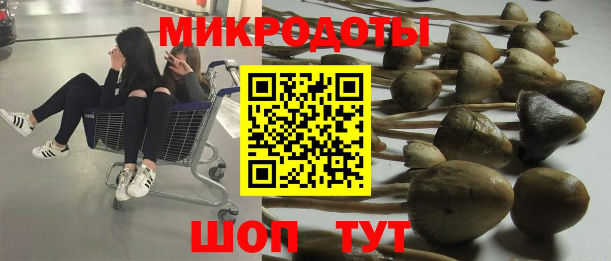 Псилоцибиновые грибы Psilocybine cubensis  Вход с VPN  Бердск  Галлюциногенные грибы прущие грибы 
